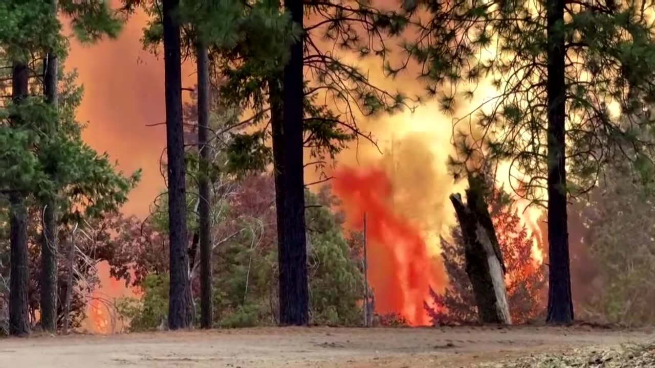 California's 'Park Fire' explodes into largest wildfire in US | REUTERS|News Empire ✅