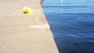 Cool view by the pier