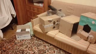 Boxes, boxes, boxes .... and a new toy!