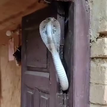 No one mess with this house