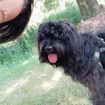 Am BaCK ! Today Sat Sept 14. ENGLISH Updates, special guest & my secret project revealed!