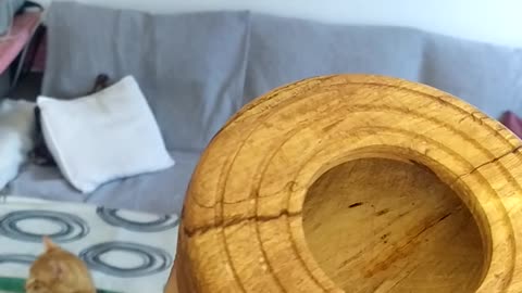 Wooden bowls