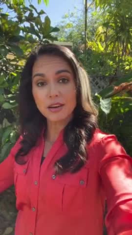 Tulsi Gabbard SLAMS Rittenhouse Prosecution, Blames Government for Not Defending People
