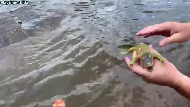 Sea animals toy on the river. Kids learning video