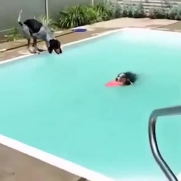 He got so excited for the swimming or his friend?