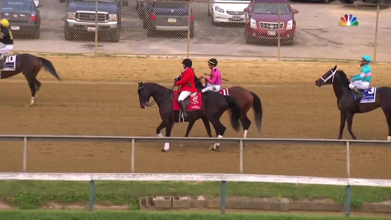 Preakness Stakes 2019 (FULL RACE), jockey John Velazquez thrown from horse | NBC Sports