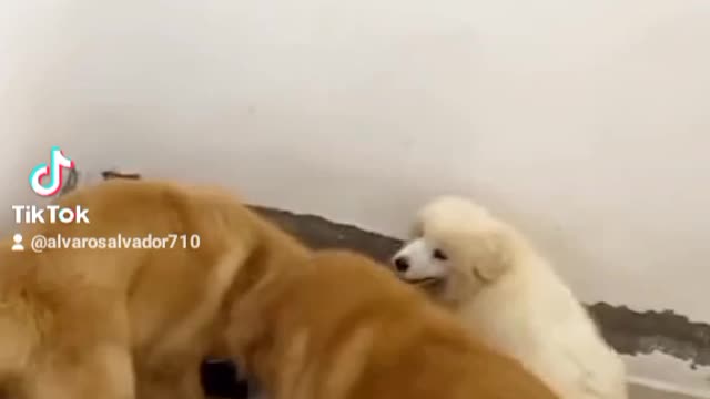 Es mejor ser amigos