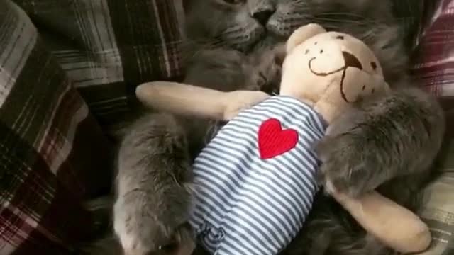 Don't touch my bear doll, that's my baby!