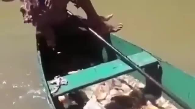 alternative way of fishing 😳 🦈