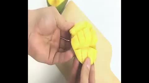 MANGO FIBROSO CORTE RAPIDO