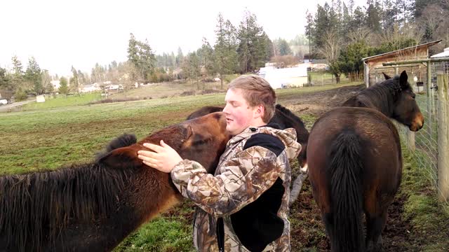 Friendliest Mule Ever, Did you know a Mule could be si cool?