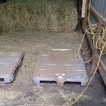 Ready for hay