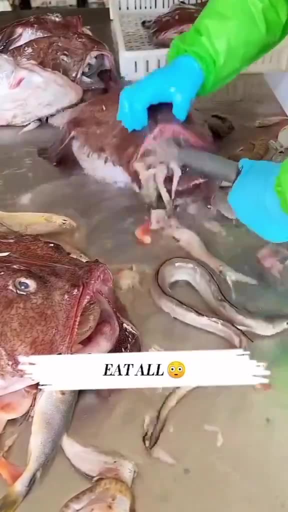 Eat all