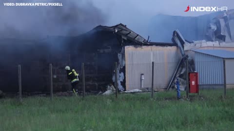 Izgorjela Pikova farma svinja, stradalo 1000 svinja?