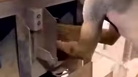 Random but creative life hacks that always work