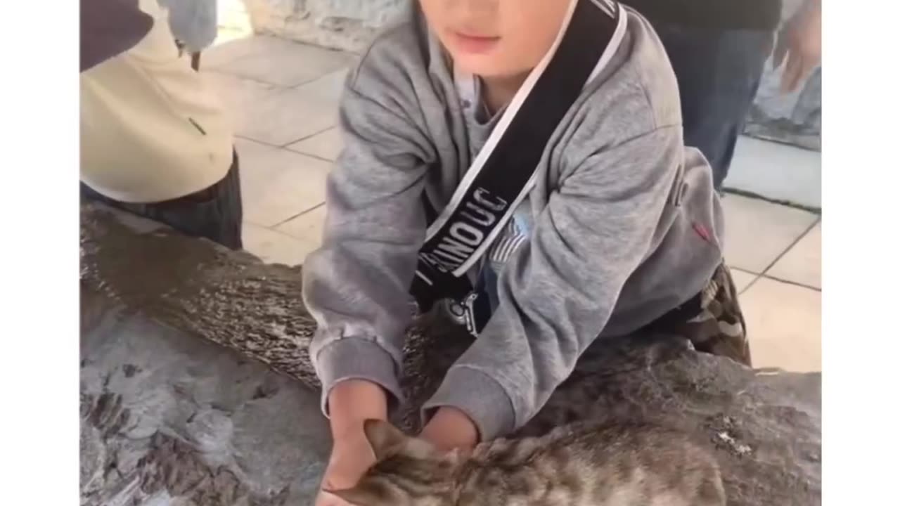 Sweet Moment: Child Helps Thirsty Kitten Drink and Nap in Their Lap 🐱💕