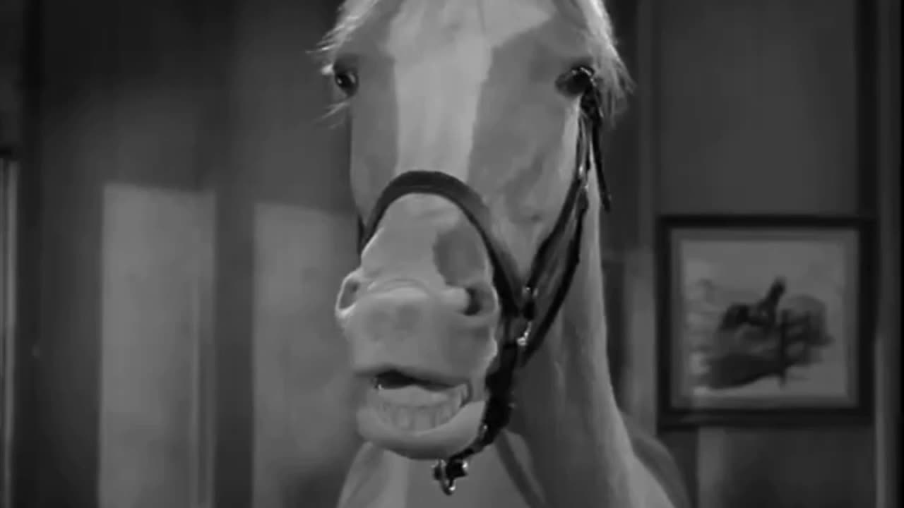 Mr Ed Gives Another Climate Warning