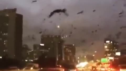 Looking Like The Apocalypse Out Here