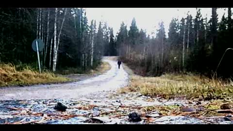 Interlude - Indy Angel