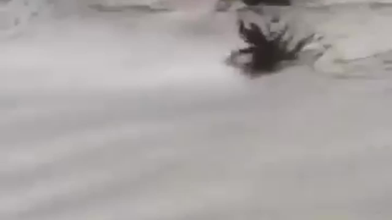 The end 😂😂😂 #funny #fails #shorts #viral #Idiots World
