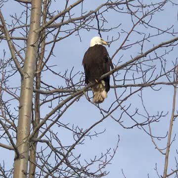 This is a neighbor down the road from us