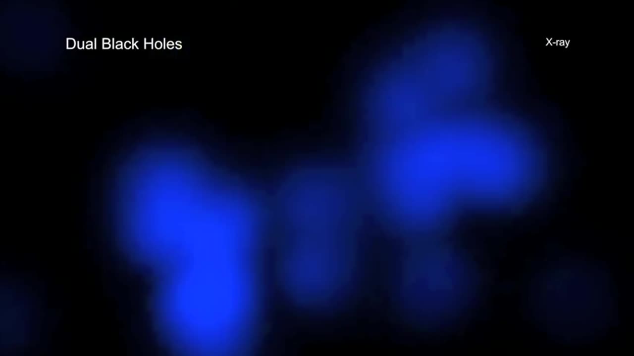 A Tour of Dual Black Holes