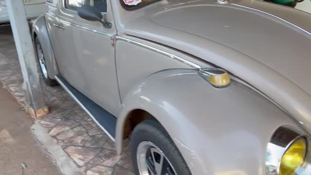 My Beetle
