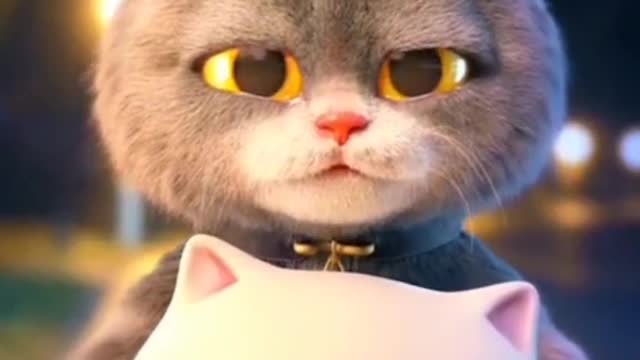 Cat and mouse romantic beautiful video