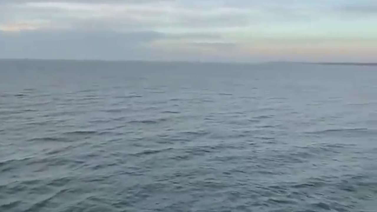 I bet you can't guess how I got here