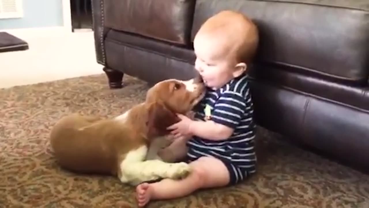 Funny Baby Videos - All Of The Cutest Thing You_ll See Today