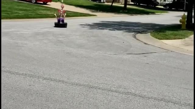 Speedy Skeleton Drives Bumper Car