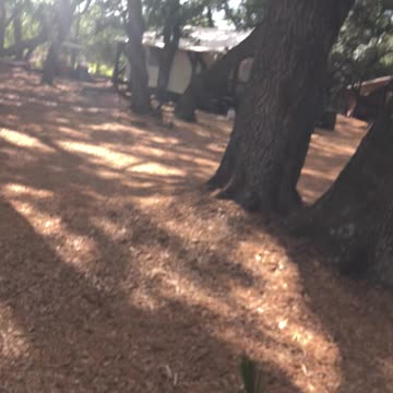 Staying at riverranch