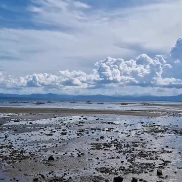 Ever seen the ocean really pull back and reveal secrets hidden beneath the waves?