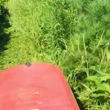 This kubota gets a workout at Highland Hill Farm