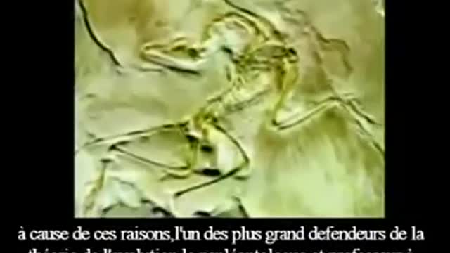 Quelque mythe démasqué de la théorie de l'évolution