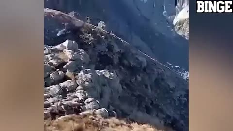 200 Incredible Moments Caught On Camera ! Best of The Month #80
