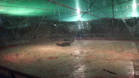 Robots Of Destruction Dublin 2015: ThunderChild Vs Merlin