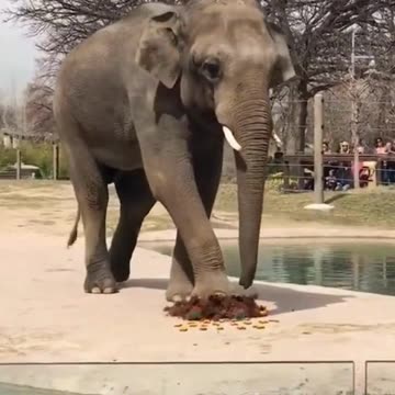 when it’s your bday and the restaurant staff walks towards you...