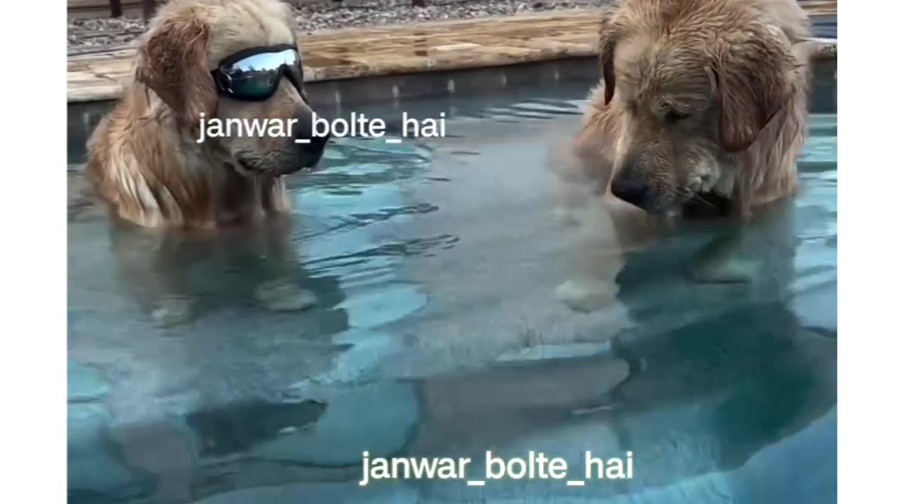 Pani me jahar😂