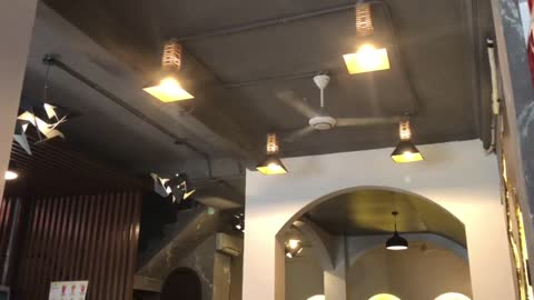 the fan at the coffeeshop