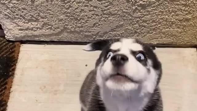 Volume no👀🤣🤣