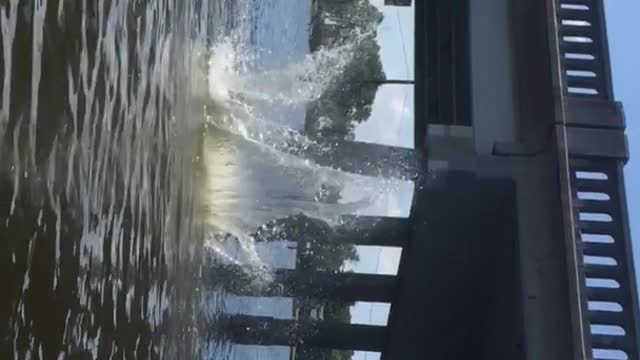 Sideways video shirtless guy does double backflip off bridge and back flops