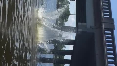 Sideways video shirtless guy does double backflip off bridge and back flops