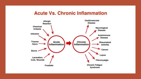 The Amazing Taurine Health Benefits
