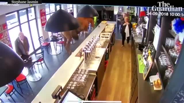 No joke_ horse gallops into a bar