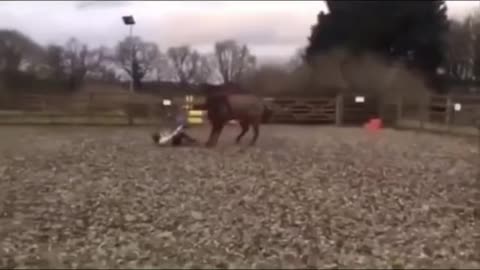 Hilarious Horse Fails/LAUGH AS LOUD AS YOU CAN 2021