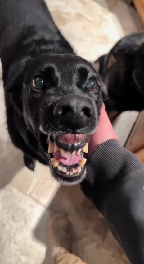 Some always appreciate you more than others