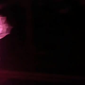 Lighted trees. Year 2. Part 49.