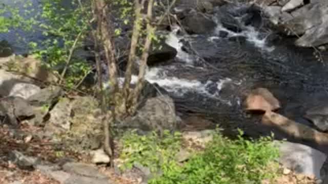 The stream under the bridge on a beautiful spring day