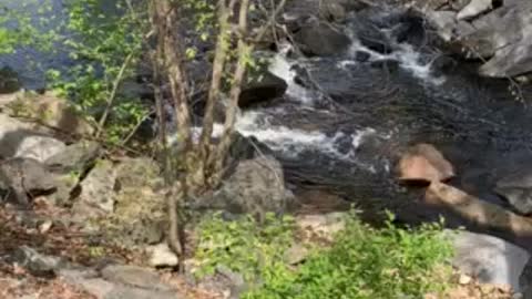 The stream under the bridge on a beautiful spring day